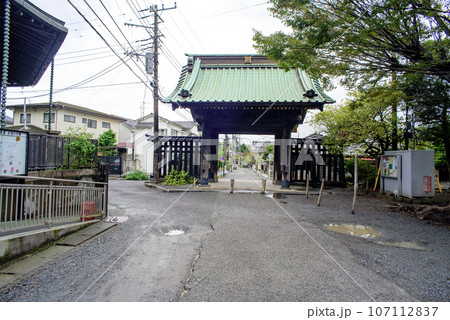 9月鎌倉 妙本寺6 9月鎌倉 妙本寺6 107112837