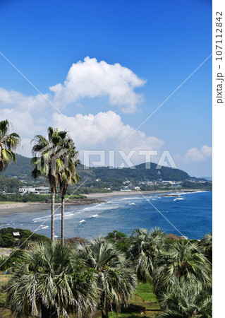 日向市の金が浜海岸 日向市の金が浜海岸 107112842