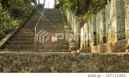 鶏さんと愛南町探索！ 107113465