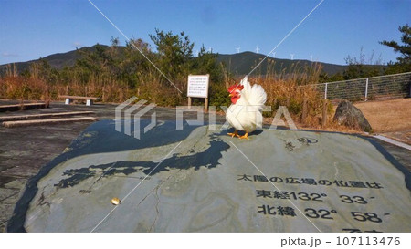 鶏さんと愛南町探索! 鶏さんと愛南町探索! 107113476