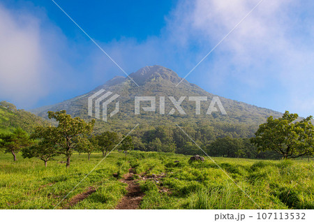 由布岳登山・登山口付近から望む由布岳 由布岳登山・登山口付近から望む由布岳 107113532