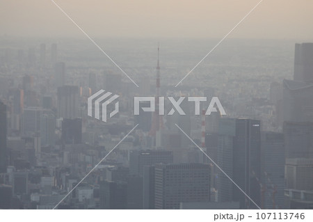 東京 東京都 東京タワー 107113746