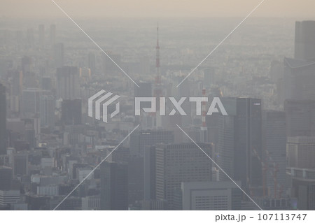 東京 東京都 東京タワー 107113747