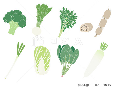 冬野菜のイラスト素材セット、ベクター素材 107114045
