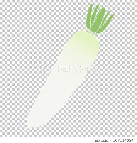 シンプルな大根のイラスト、ベクター素材 107114054