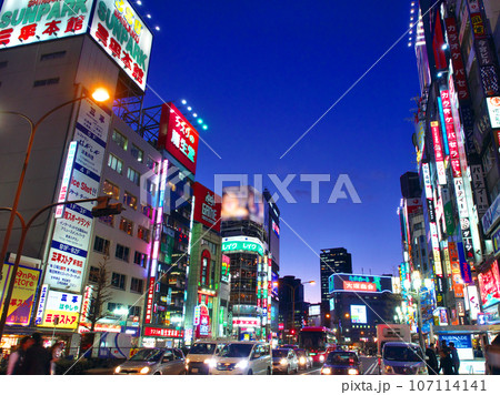 【東京都・2017年3月】コロナ前の賑わう新宿歌舞伎町 都市風景 【東京都・2017年3月】コロナ前の賑わう新宿歌舞伎町 都市風景 107114141