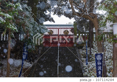 小江戸川越の冬　雪の降る仙波東照宮 107114284