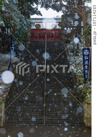 小江戸川越の冬　雪の降る仙波東照宮 107114285