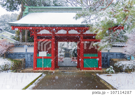 小江戸川越の冬　雪の降る仙波東照宮　随身門 107114287