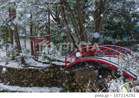 小江戸川越の冬 雪の降る喜多院 厳島神社 小江戸川越の冬 雪の降る喜多院 厳島神社 107114292