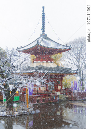 小江戸川越の冬 雪の降る喜多院 多宝塔 小江戸川越の冬 雪の降る喜多院 多宝塔 107114304