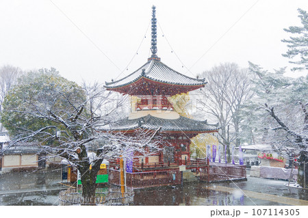 小江戸川越の冬　雪の降る喜多院　多宝塔 107114305