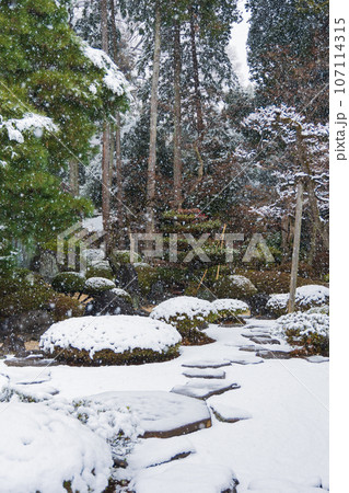小江戸川越の冬 雪の降る喜多院 曲水の庭 小江戸川越の冬 雪の降る喜多院 曲水の庭 107114315