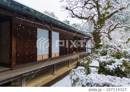 小江戸川越の冬 雪の降る喜多院 客殿 小江戸川越の冬 雪の降る喜多院 客殿 107114327