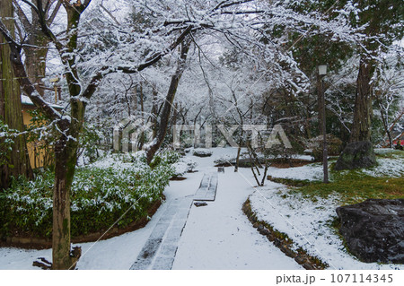 小江戸川越の冬 雪の降る喜多院 紅葉山庭園 小江戸川越の冬 雪の降る喜多院 紅葉山庭園 107114345