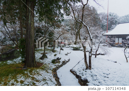 小江戸川越の冬 雪の降る喜多院 紅葉山庭園 小江戸川越の冬 雪の降る喜多院 紅葉山庭園 107114348