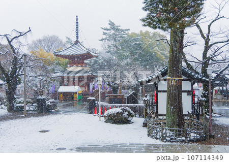 小江戸川越の冬　雪の降る喜多院 107114349