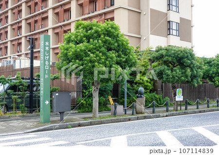 地域興し成功例　水木しげるロード（島根県境港市） 107114839