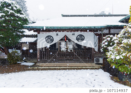 小江戸川越の冬 雪の降る喜多院 小江戸川越の冬 雪の降る喜多院 107114937