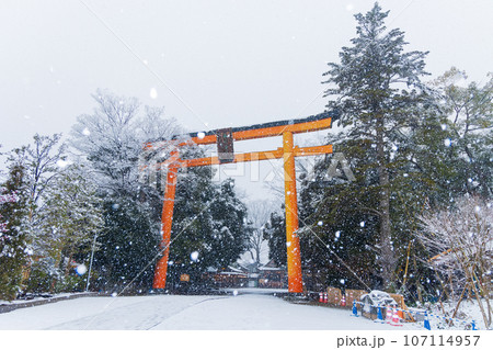 小江戸川越の冬　雪の降る川越氷川神社　大鳥居 107114957