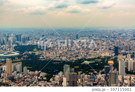 Aerial view of Minato, Tokyo, Japan 107115001