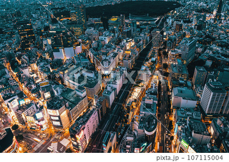 Aerial View of Shibuya, Tokyo at sunset Aerial View of Shibuya, Tokyo at sunset 107115004