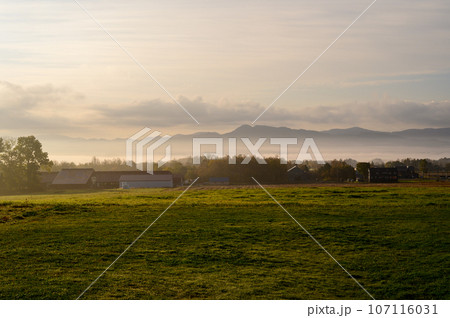 朝霧立つ高原 朝霧立つ高原 107116031