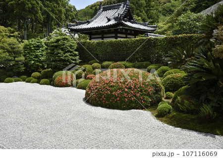 一休寺 本庄庭園南庭 一休寺 本庄庭園南庭 107116069