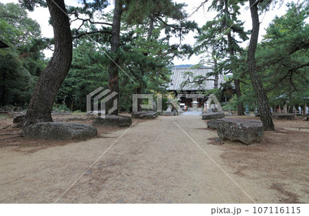 四国霊場第80番札所讃岐「国分寺」本堂と本堂前の創建時の金堂の礎石 四国霊場第80番札所讃岐「国分寺」本堂と本堂前の創建時の金堂の礎石 107116115