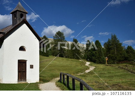 Departure for the mountain 107116135