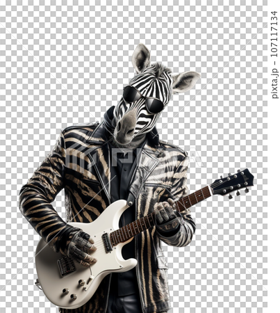 Zebra plays the electric guitar. 107117134