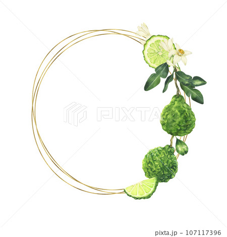 Watercolor bergamot wreath. Hand painted botanical design isolated on white background 107117396
