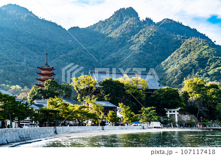 【世界遺産 嚴島神社】【安芸国一宮】新年の朝の千畳閣と五重塔と弥山 広島県廿日市市 【世界遺産 嚴島神社】【安芸国一宮】新年の朝の千畳閣と五重塔と弥山 広島県廿日市市 107117418