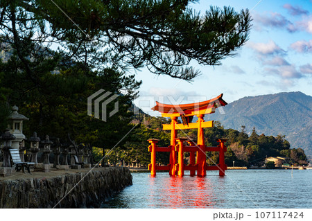 【世界遺産 嚴島神社】【安芸国一宮】新年の晴れた朝の大鳥居3 広島県廿日市市 【世界遺産 嚴島神社】【安芸国一宮】新年の晴れた朝の大鳥居3 広島県廿日市市 107117424