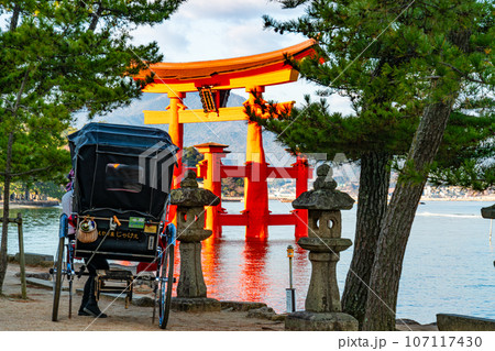 【世界遺産　嚴島神社】【安芸国一宮】新年の晴れた朝の人力車と大鳥居　広島県廿日市市 107117430