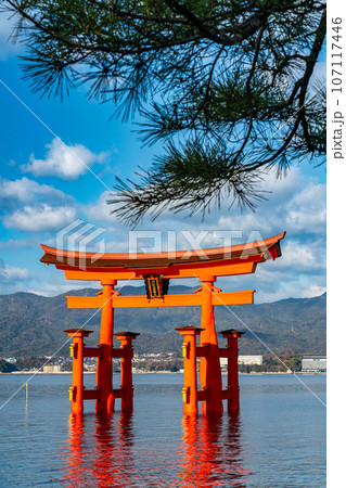 【世界遺産　嚴島神社】【安芸国一宮】新年の晴れた朝の大鳥居19　広島県廿日市市 107117446