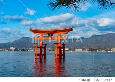 【世界遺産　嚴島神社】【安芸国一宮】新年の晴れた朝の大鳥居20　広島県廿日市市 107117447