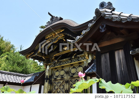 鎌倉　建長寺唐門 107117552
