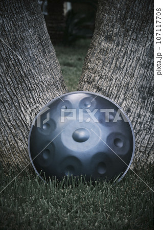 the handpan by the tree the handpan by the tree 107117708