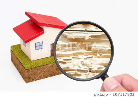 住宅 シロアリ被害 クローズアップ 住宅 シロアリ被害 クローズアップ 107117902