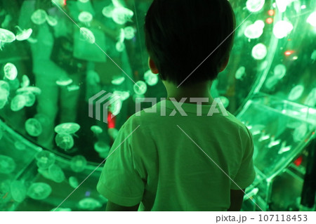 水母 メドゥーサ メデューサ 107118453