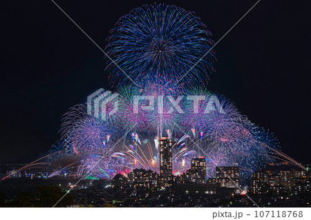 高台から望む博多湾芸術花火 高台から望む博多湾芸術花火 107118768