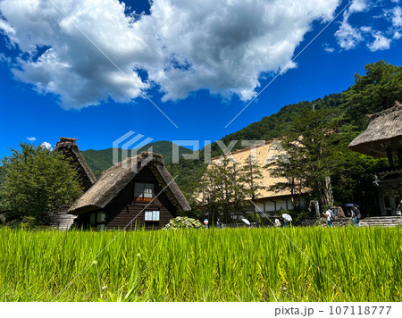 夏の白川郷 107118777