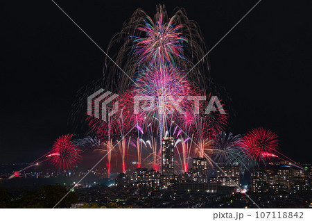 高台から望む博多湾芸術花火 高台から望む博多湾芸術花火 107118842