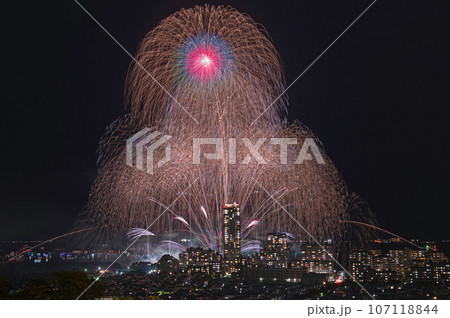 高台から望む博多湾芸術花火 107118844