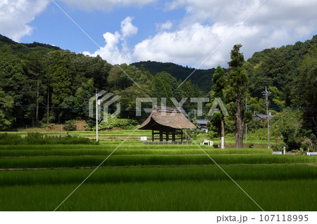 ロマンチック茨城（ いにしえの門を訪ねるタイムトラベル。仏頂山楞厳寺の山門、国の天然記念物。）笠間市 107118995