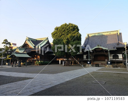柴又帝釈天の境内にある帝釈堂と本堂 柴又帝釈天の境内にある帝釈堂と本堂 107119583