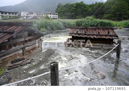 栃木県日光市・湯ノ平湿地 107119691