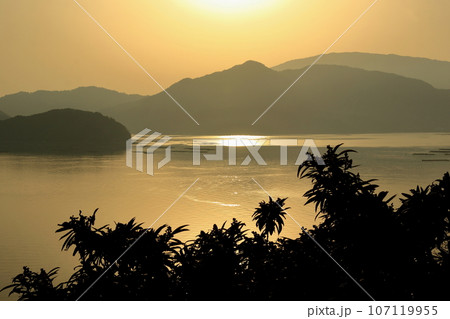 夕方の穏やかな瀬戸の海 夕方の穏やかな瀬戸の海 107119955