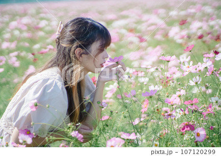 コスモス畑で花を楽しむ女性 コスモス畑で花を楽しむ女性 107120299